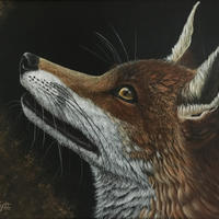 'Big Red' Fox painting / Acrylic / 50cmx40cm