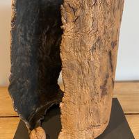 Walnut bark sculpture. Parian porcelain with slip, oxide and glaze. 31cm (h) x 24cm (w) x 19cm (d) 