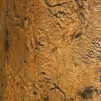 Walnut bark sculpture detail.