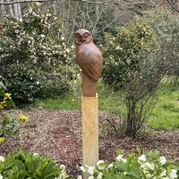 Tawny Owl Side    Cold cast Mixed metal    Height  50cm 