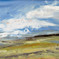 Blurred Horizon oil on canvas  41x51cm framed 47x57cm. 