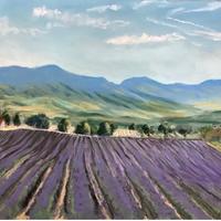 Lavender fields - Provence Alps Cote D'Azur - pastels on sandpaper