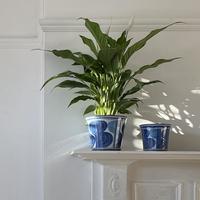 Blue Plant Holders / Tin-glazed Earthenware 