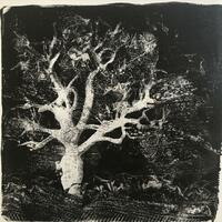 Small tree/Monoprint using gelplate/15x15cm