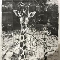 Giraffes/monoprint using gelplates/105x76cm