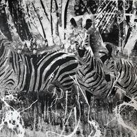 Zebras/Monoprint using gelplates/A5