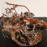 Natural Form Sculpture Series, mixed media/textiles, 34x27cm