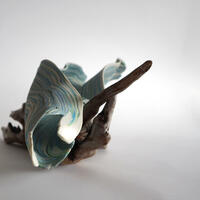 Wave Form 1. Porcelain and Driftwood