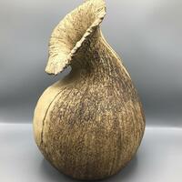 Conch pod. Ceramic