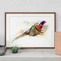 Flkying Pheasant/ watercolour/ A3