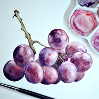 Grapes / Watercolour / A5+