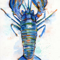 Lobster / Watercolour / A4