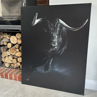 El Toro / Acrylic on canvas / 80x100cm