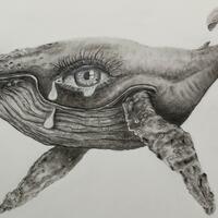 Crying whale/Pencil,mixed media/A-3