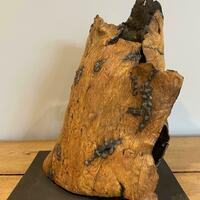 'Ancient Bark with Black Lichen'/parian porcelain/black stoneware base