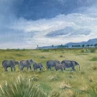 Elephants in the Masai Mara/oil/41x31cms