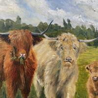 Highland cattle/acrylic/50x40cm