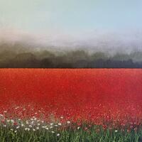 Nettlebed Poppies, Acrylic on canvas, 50cm x 50cm