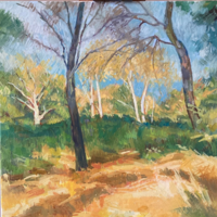 Birch Trees, oil, 47 x 47