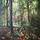 Woven Woods / Acrylic on Canvas / 120cm x 80cm