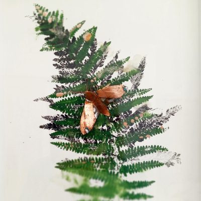 Fern 1/Monoprint & copper/28 x33cm