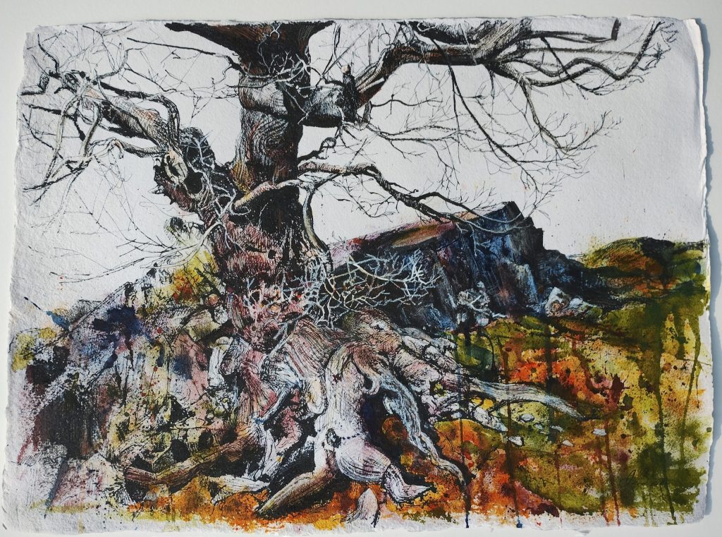 Mandrake/mixed media/56x67cm