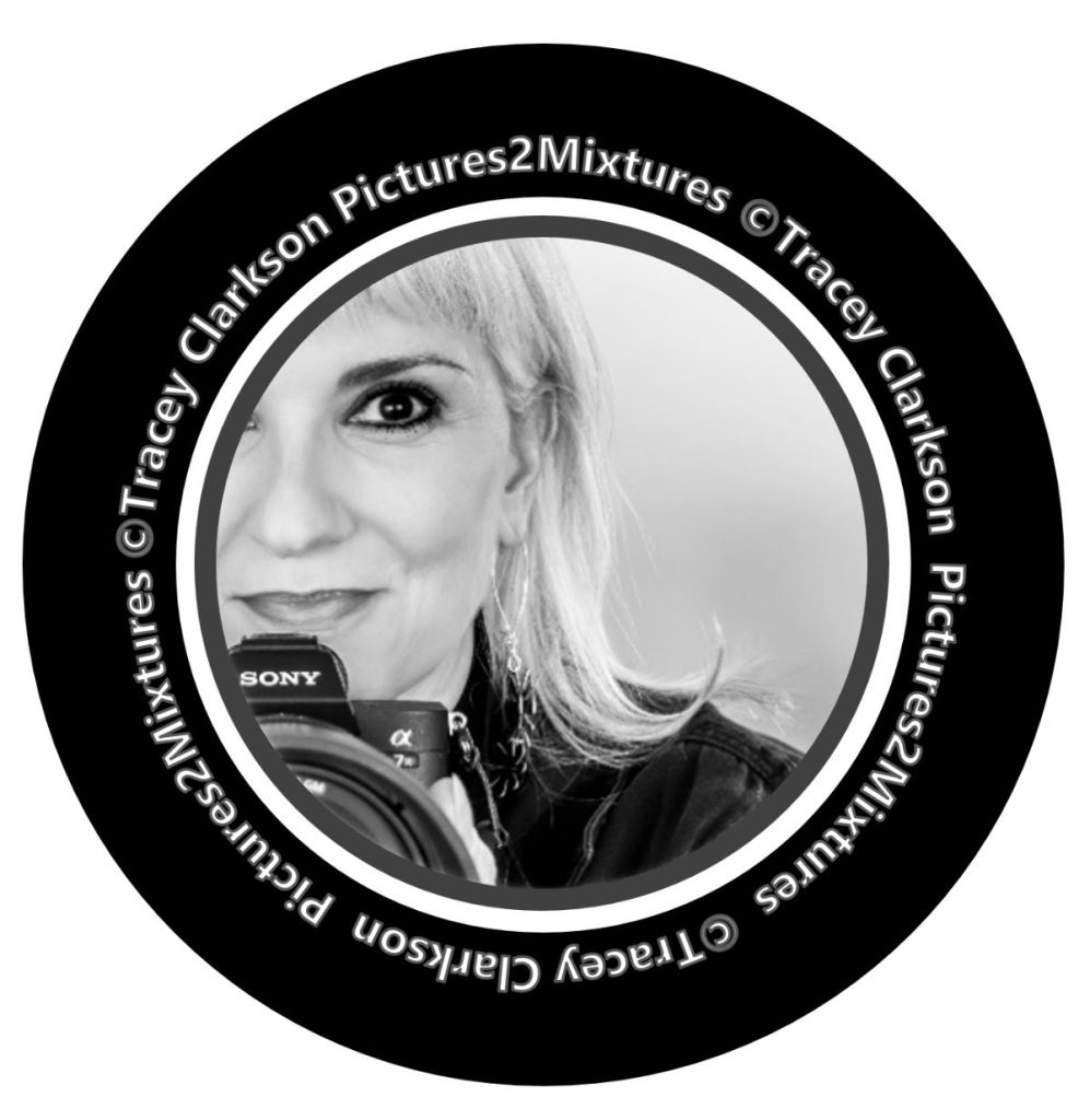 Tracey Clarkson / Photographer and Artist