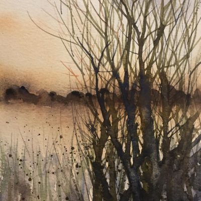 Withies village pond