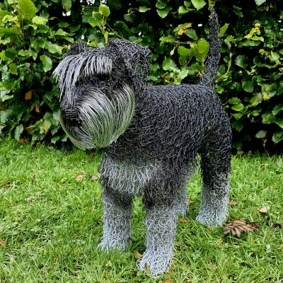 Schnauzer / wire / 45cm