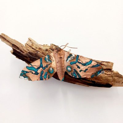 Moth on wood/Drift wood, copper/25x9x5cm