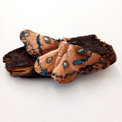 Moth on wood/drift wood, copper/18x9x6cm
