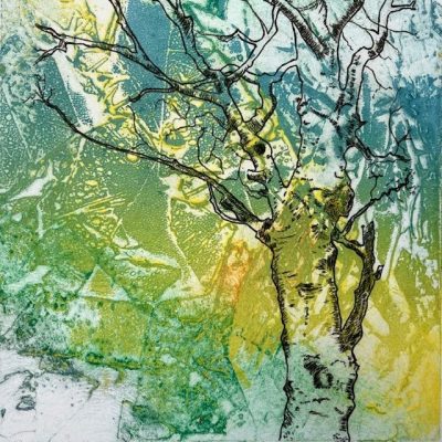 Birch Tree/Collagraph & Drypoint