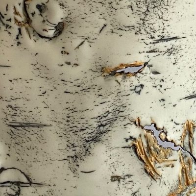 Silver Birch bark sculpture detail. Porcelain.