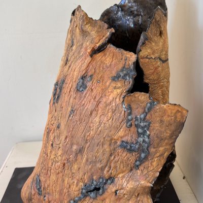 Bark sculpture with oxide. Parian porcelain.