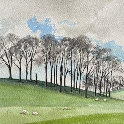 Winter Copse, watercolour, 12