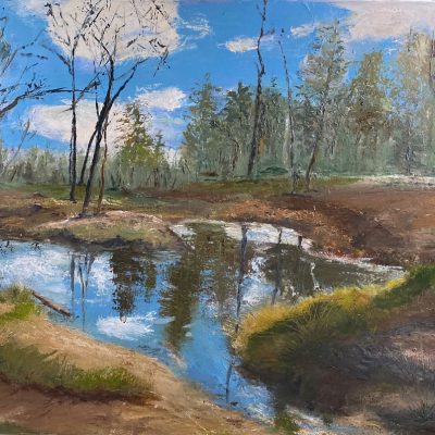 Pond in the Woods/oil/100x60cms