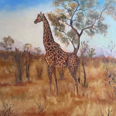 Standing Tall/oil/50x60cms