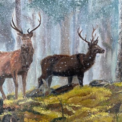 Stags in the Snow/oil/40x30cms