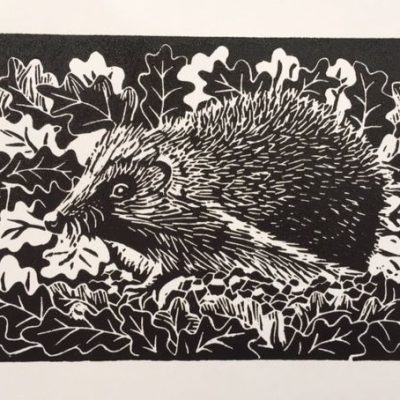 hedgehog/ linoprint/ 9