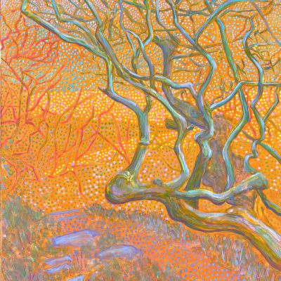 Twisted Path, Oil on Cradled Panel, 41 x 51 cm