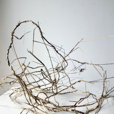 Cordage from Sussex Grasses / dried grass / c35 x 35 x 35 cm