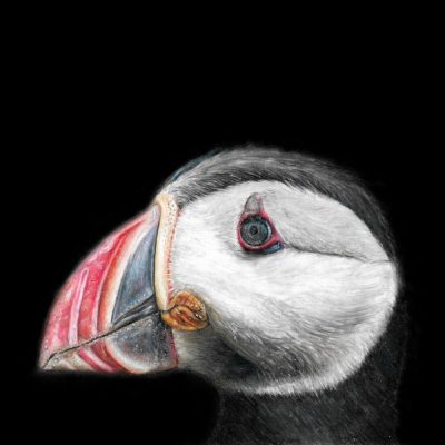 Íngipôk / Watercolour Pencil / A5