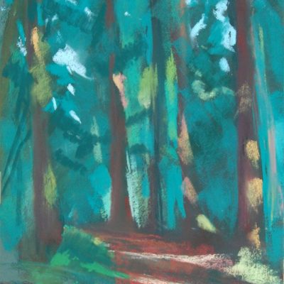 MorgastonPines/20x30cm