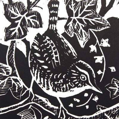 wren/ wood engraving/ 9