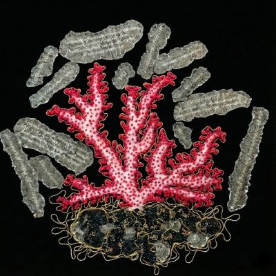 Paragorgia on Cobalt Crust / Embroidery / 20 cm x 20 cm