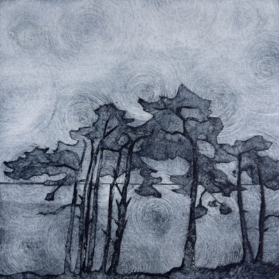 Pines, Collagraph, 305 x 305 mm, mounted