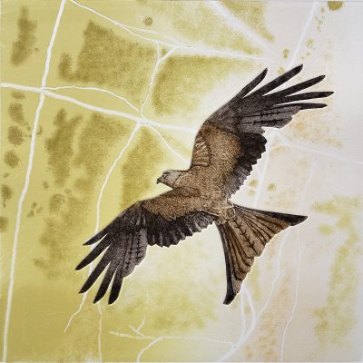 Red Kite, Greenham Common, Collagraph & Monotype Print, 500mm x 500mm