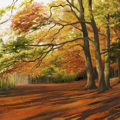 The beech ridge / Oil on canvas board / 40cm x 30cm