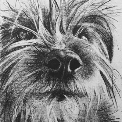 Chia, Pencil drawing