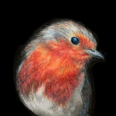 Wilburn / Watercolour Pencil / A5